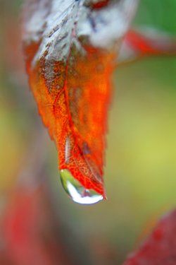 One drop of rain...doesn't mean a hurricane's coming!