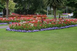 New Zealand Gardens, Christchurch Wallpaper