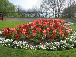 Cresent Gardens, Filey