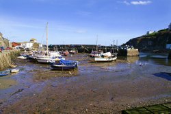 Mevagissey Inner harbour. Wallpaper