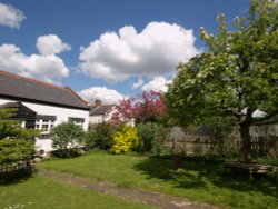 My garden, Steeple Claydon, Bucks Wallpaper