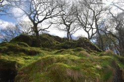 A View of Llanberis Wallpaper