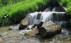 Wharram Percy 6 Wallpaper