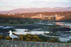 A View of Snowdonia and Menai Bridge Wallpaper