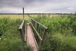 Cottingham Bridle path Wallpaper