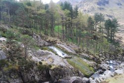 A view of Betws-y-coed Wallpaper