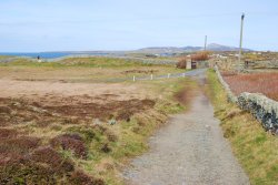 A View of Holy Island Wallpaper