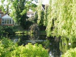 The duck pond, Ruislip Wallpaper