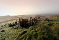 Bradgate Park dawn 2