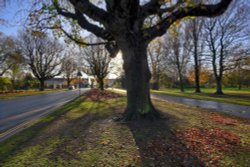 East Park during Autumn Wallpaper