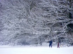 Snow, Eastcote village Wallpaper