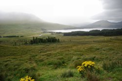 A View around Fort William Wallpaper