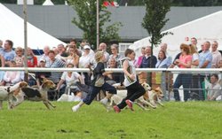 Driffield Show0013 Wallpaper