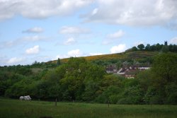 View of Netherton from the Nature Reserve Wallpaper