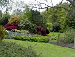 The beautiful RHS gardens at Harlow Carr Wallpaper