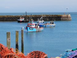 Folkestone Harbour Wallpaper