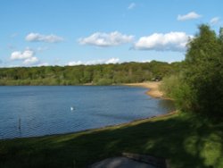 Ruislip Lido Wallpaper