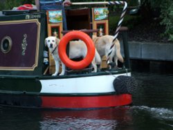 The Canal Uxbridge