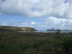 Hawkers Cove near Padstow Wallpaper