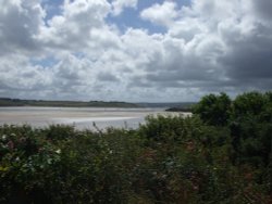 Camel Estuary Wallpaper