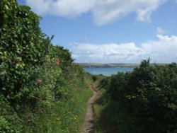 Coastal Path near Padstow Wallpaper