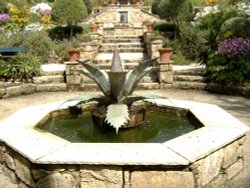 Tresco Abbey Gardens Wallpaper