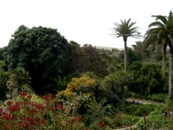 Tresco Abbey Gardens Wallpaper