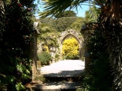 Tresco Abbey Gardens Wallpaper