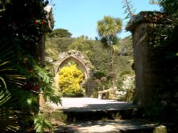 Tresco Abbey Gardens Wallpaper