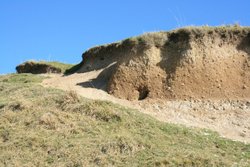 Sandy soil Wallpaper