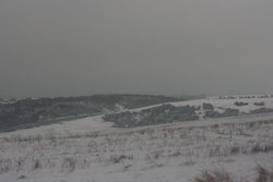 Snow on Devil's Dyke Wallpaper