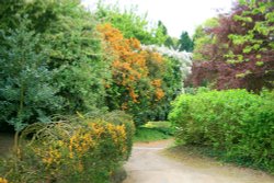 Spring Colours at Nidd. Wallpaper