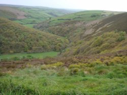 Exmoor National Park Wallpaper