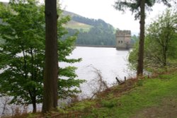 Derwent Reservoir through the trees April 2008 Wallpaper