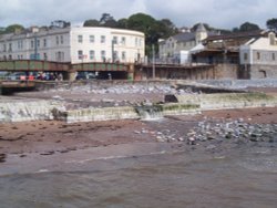 Dawlish Wallpaper