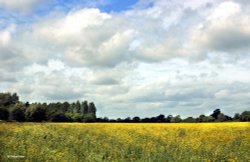 Shillingstone in Dorset