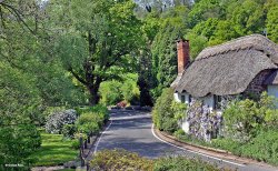 Bickleigh in Devon