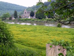 Tintern Abbey Wallpaper