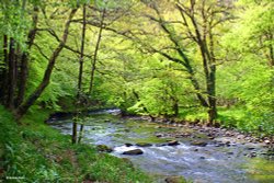 The Edge of Exmoor Wallpaper