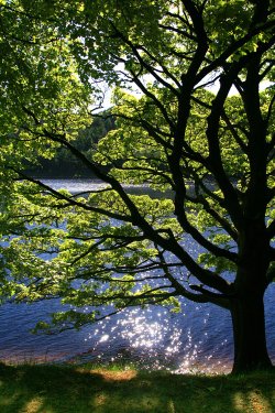 Howden Reservoir