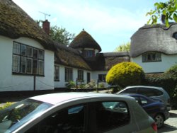 Thatched Cottage