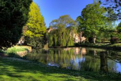 Aylesford Priory pond