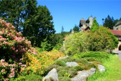 The House at Cragside. Wallpaper