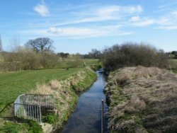 The River Pinn, Ruislip Wallpaper