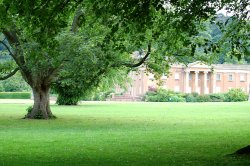 Himley Park Wallpaper