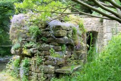 Garden at Mill Barn Samlesbury Wallpaper