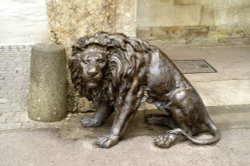 This is what Longleat is most famous for. The Lions. Wallpaper