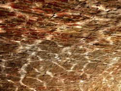 Sunlight on ripples, Bridge 136, Oxford Canal, Fenny Compton, Warwickshire Wallpaper