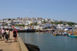 Brixham Harbour and Promenade - June 2009 Wallpaper