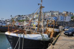 Fishing Boats in Brixham Harbour - June 2009 Wallpaper